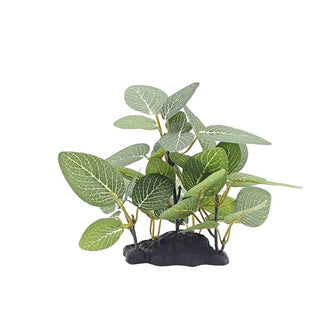 Décoration Terrarium