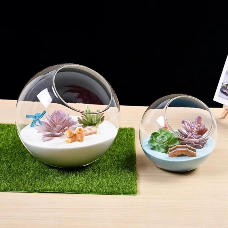 Terrarium En Verre En Forme Boule Transparente Décorative