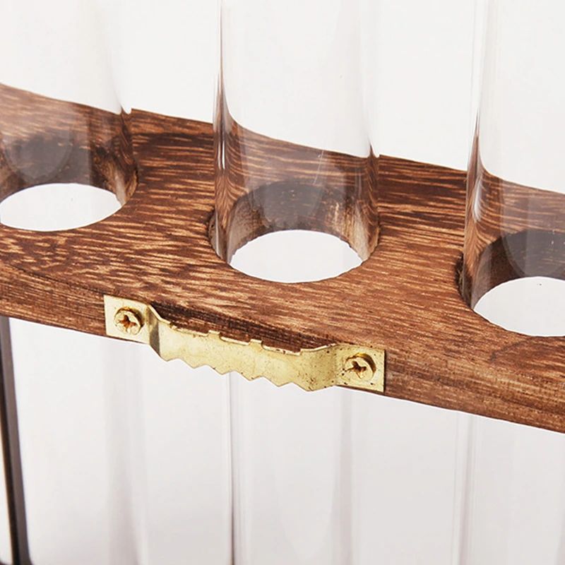 Vase avec Cadre en Bois pour Plantes Hydroponiques