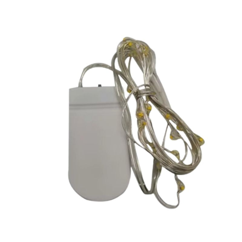 Guirlandes d’Intérieur LED avec Clips Photo