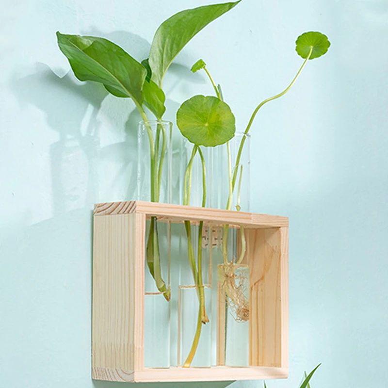 Vase avec Cadre en Bois pour Plantes Hydroponiques