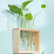 Vase avec Cadre en Bois pour Plantes Hydroponiques