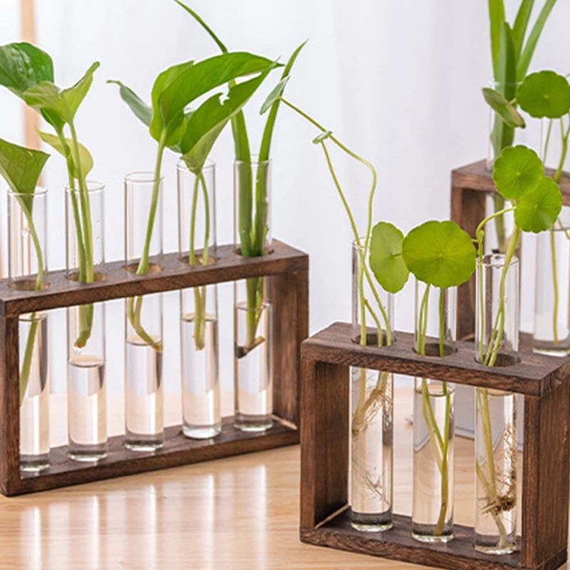 Vase avec Cadre en Bois pour Plantes Hydroponiques