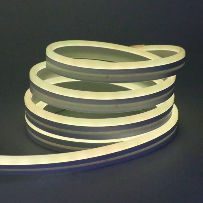 Guirlande LED Néon Multicolore Étanche