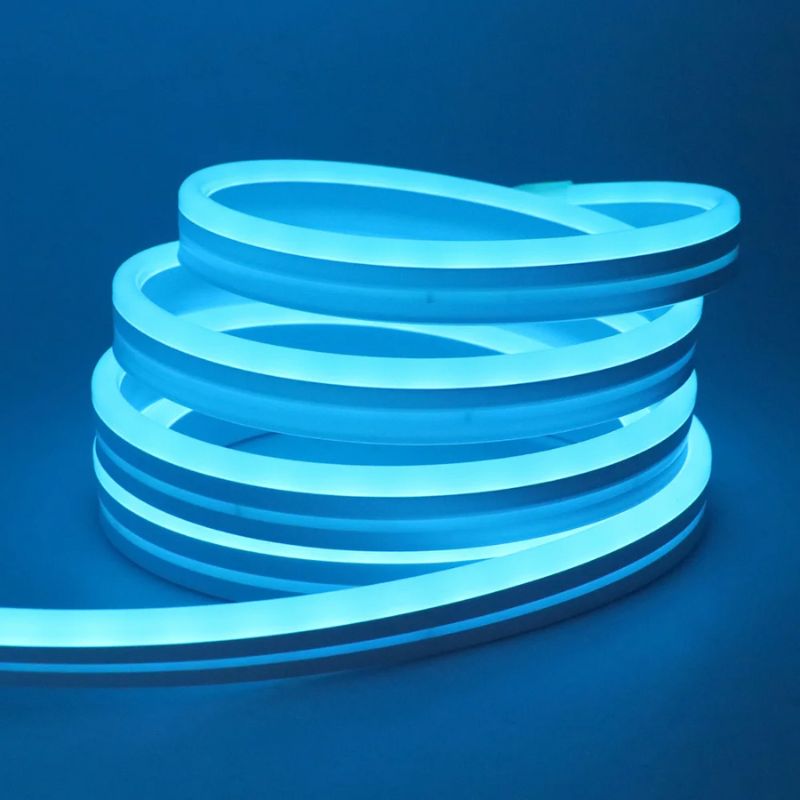 Guirlande LED Néon Multicolore Étanche