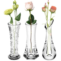 Vase Transparent Décoratif pour Fleurs