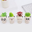 Mini Vase en Forme de Chat
