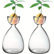 Vase Transparent pour Avocat en Lot de 2 Pièces