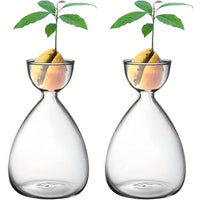 Vase Transparent pour Avocat en Lot de 2 Pièces