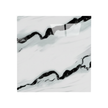 Panneau Mural PVC Avec Effet Marbre Blanc Et Veinage Noir Moderne