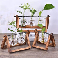 Vase Vintage en Verre et Bois Pour Plantes Hydroponiques