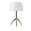 Lampe Champignon Design Brillant