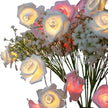 Guirlandes pour Anniversaire Roses Lumineuses LED