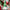Décorations de Noël Petit Gnome 23 cm