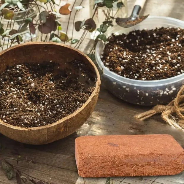 Substrat Terrarium En Fibre De Coco Pour Reptiles