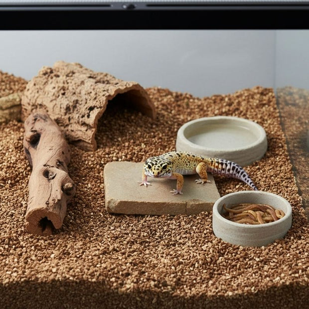 Substrat Terrarium En Vermiculite Naturelle Pour Reptiles