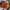 Citrouilles Halloween Ballons en Latex Orange