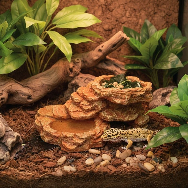 Décoration Terrarium Avec Double Gamelle Effet Roche