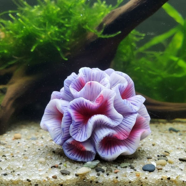 Décoration Terrarium En Résine Avec Corail Marin Réaliste