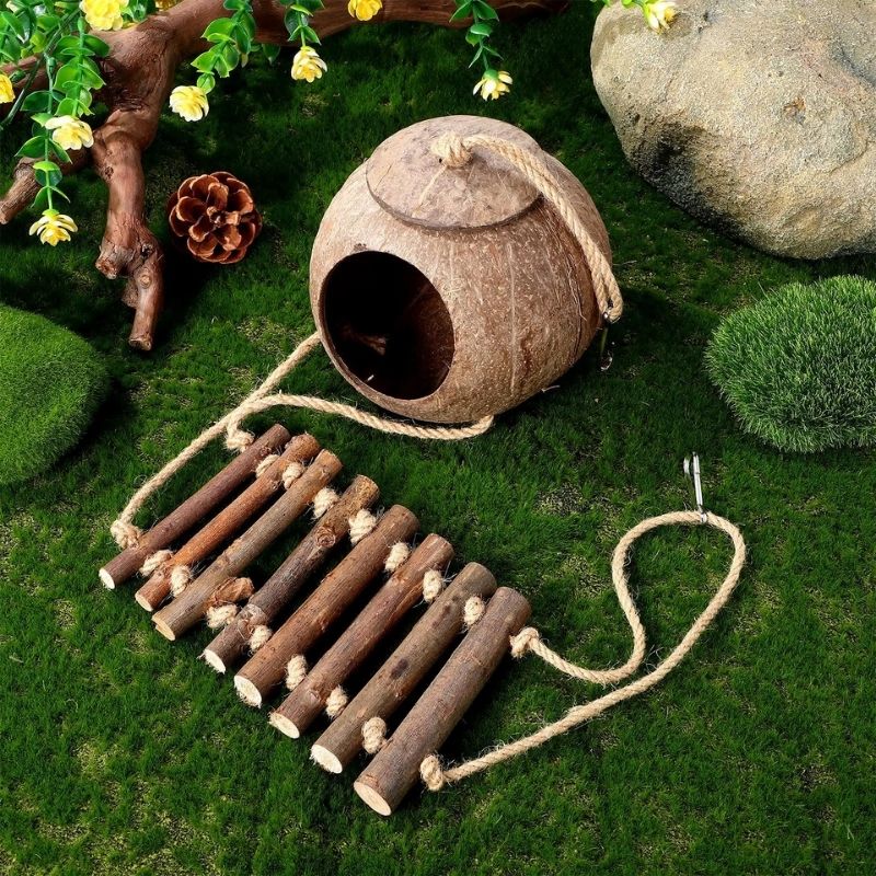 Décoration Terrarium Avec Cabane Coco Et Échelle En Bois