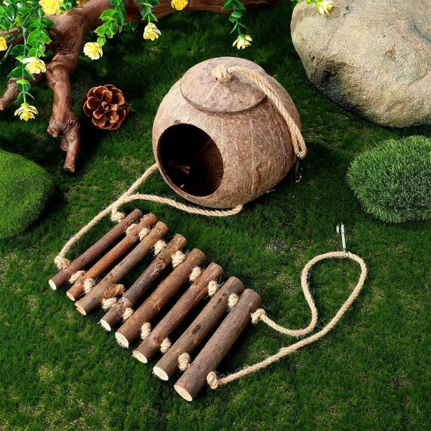 Décoration Terrarium Avec Cabane Coco Et Échelle En Bois