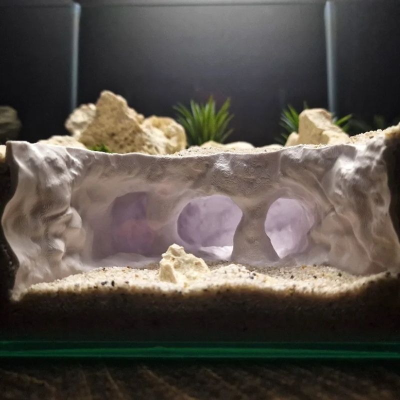 Décoration Terrarium En Forme De Grotte