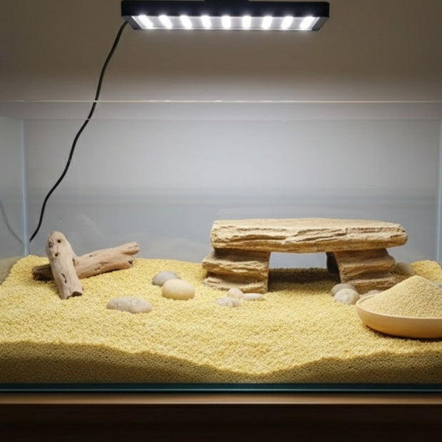 Substrat Terrarium En Sable De Calcium
