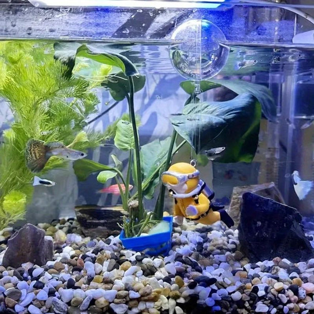 Substrat Terrarium En Gravier Naturel Coloré