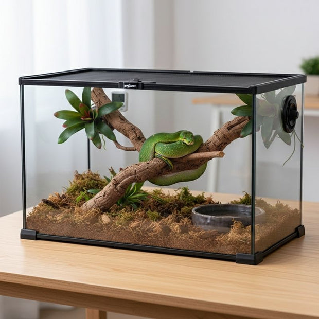 Terrarium En Verre Avec Ventilation Latérale Intégrée