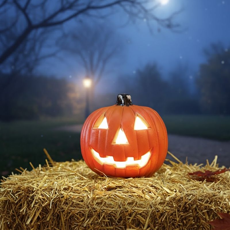 Citrouilles Halloween à Lumière Intérieure