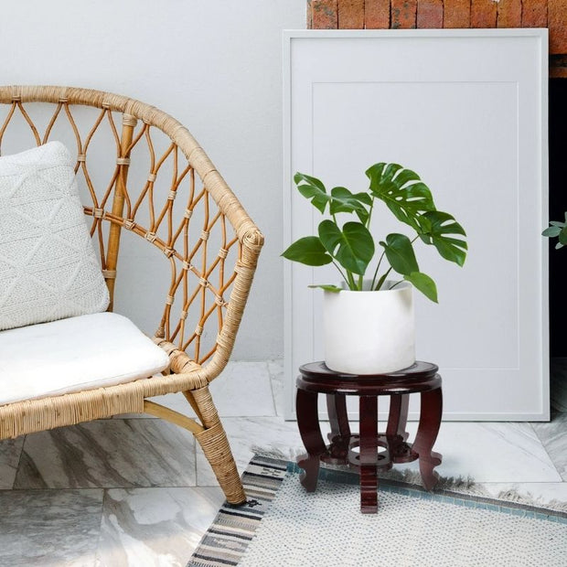 Support Terrarium En Bois Massif