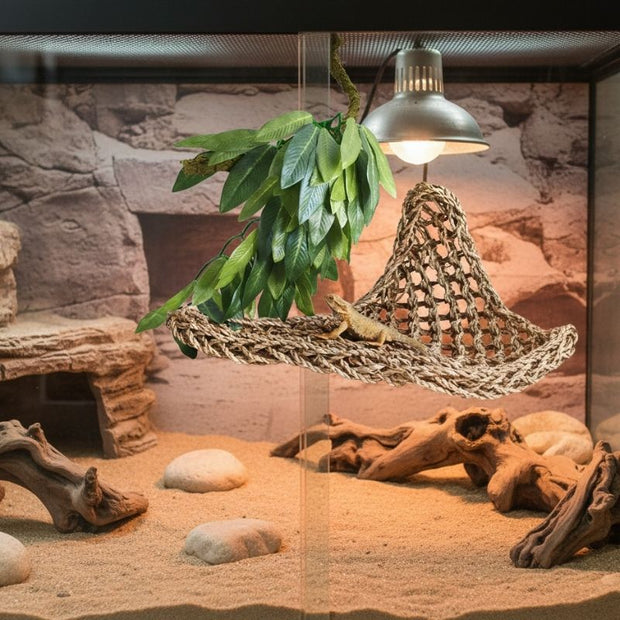 Plante Pour Terrarium Artificielle Avec Feuillage Suspendu