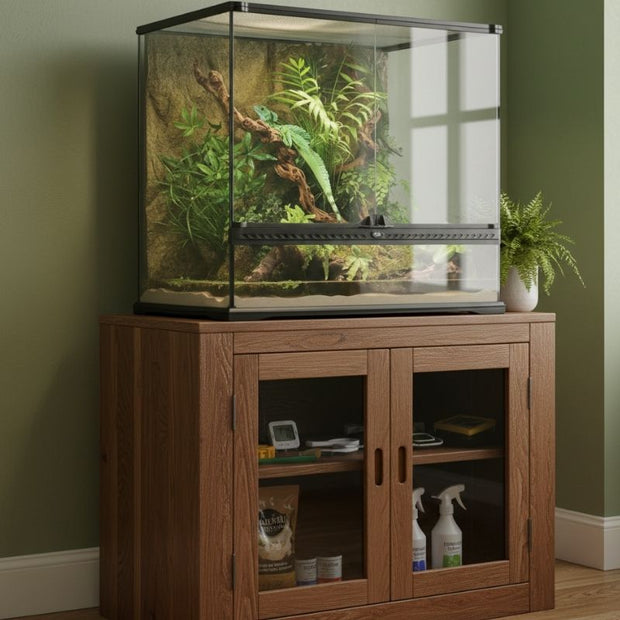 Terrarium En Verre Avec Structure Spacieuse