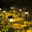 Bornes Lumineuses de Jardin à Énergie Solaire