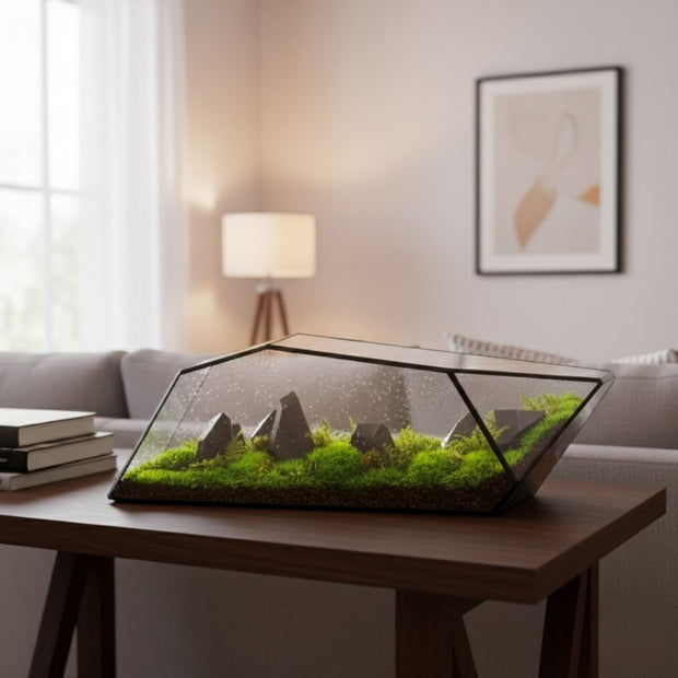 Terrarium En Verre Géométrique Allongé