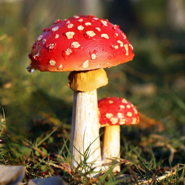Sculpture Jardin Champignons Décoratifs En Ambiance Nature