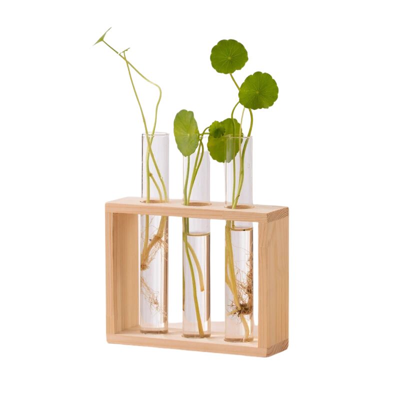 Vase avec Cadre en Bois pour Plantes Hydroponiques