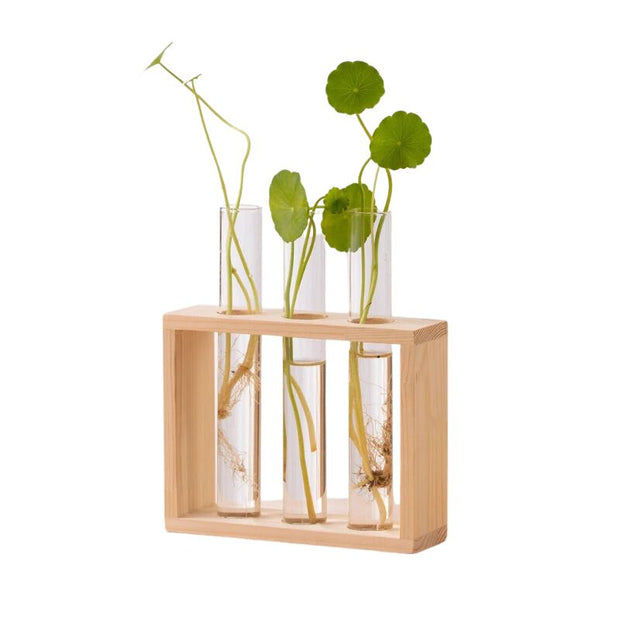 Vase avec Cadre en Bois pour Plantes Hydroponiques