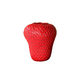 Vase Fraise Moderne pour Fleur