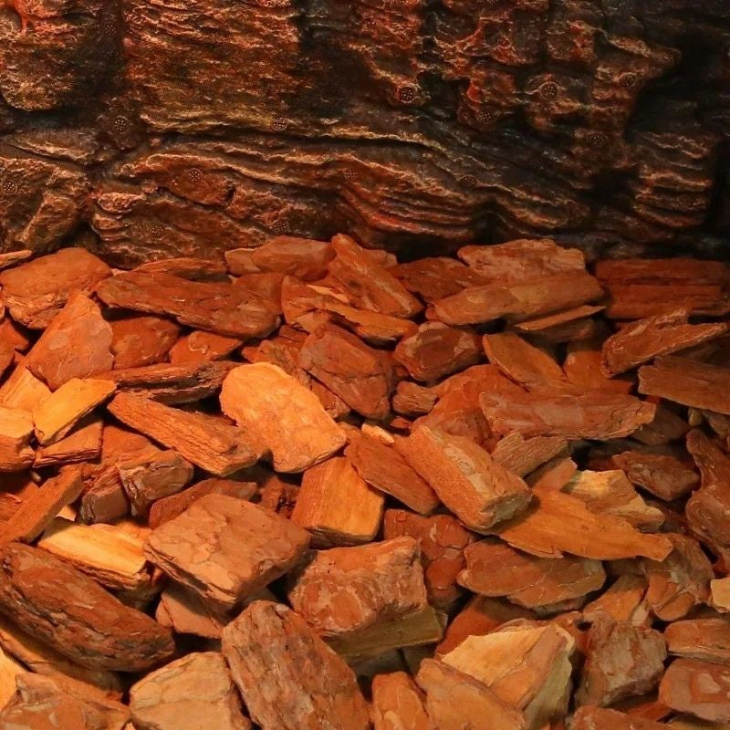 Substrat Terrarium En Litière Végétale