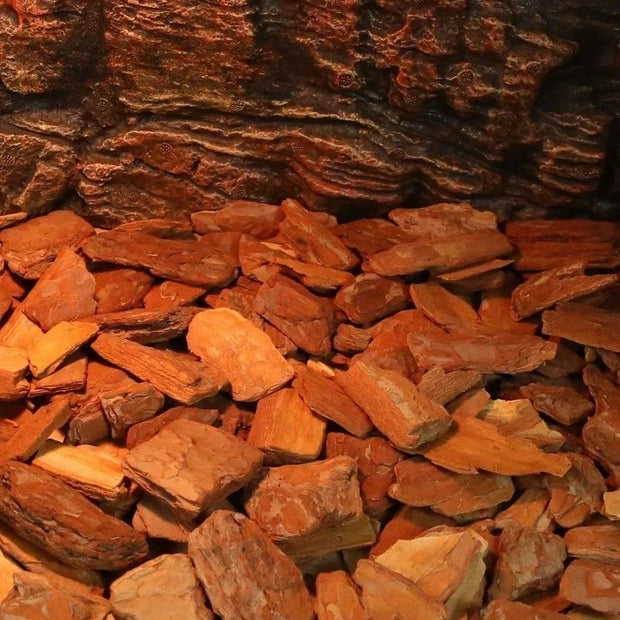 Substrat Terrarium En Litière Végétale