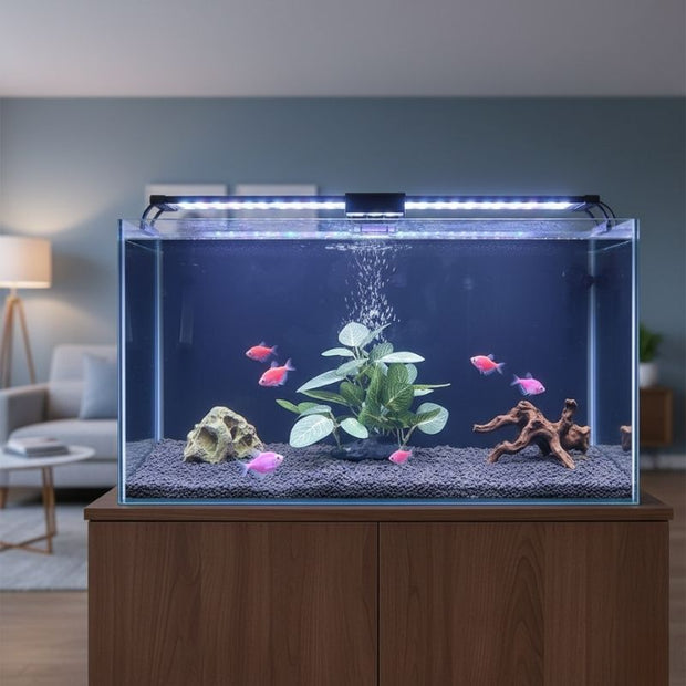 Plante Pour Terrarium Avec Feuillage Réaliste