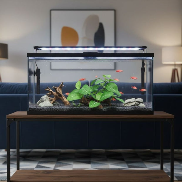 Plante Pour Terrarium Avec Base en Bois