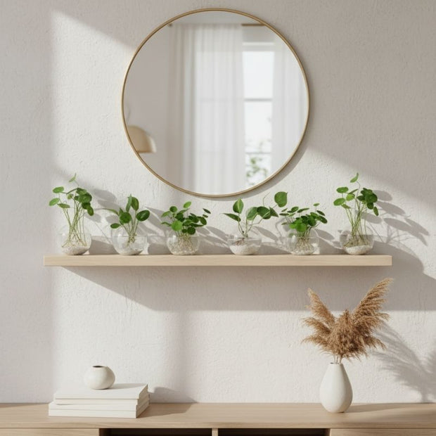 Terrarium En Verre Style Mural