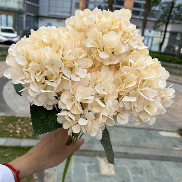 Fleur Artificielle Beige Avec Hortensia Réaliste