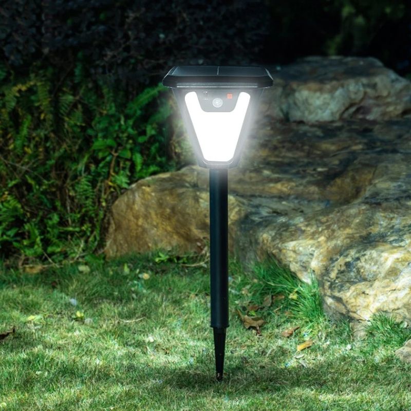 Éclairage de Chemin Solaire Lumineux