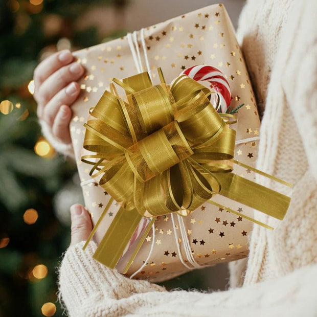 Décoration Festive Rubans à Nœuds Élégants en Soie Lot de 2 Pièces