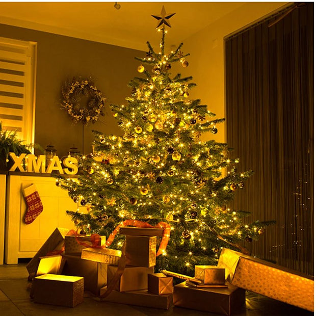 Guirlande LED À Intensité Variable Pour Ambiance Magique