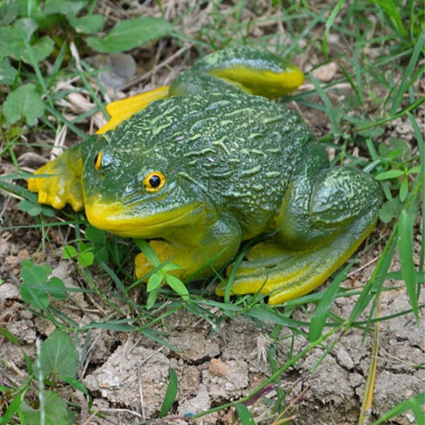 Sculpture Grenouille Décorative En Résine