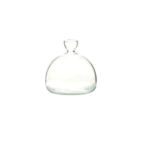 Vase Fleur en Verre Transparent pour Avocat